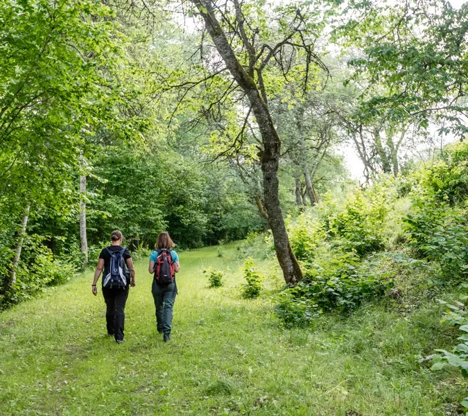 Två kvinnor med ryggen mot kameran vandrar i grön och lummig natur.