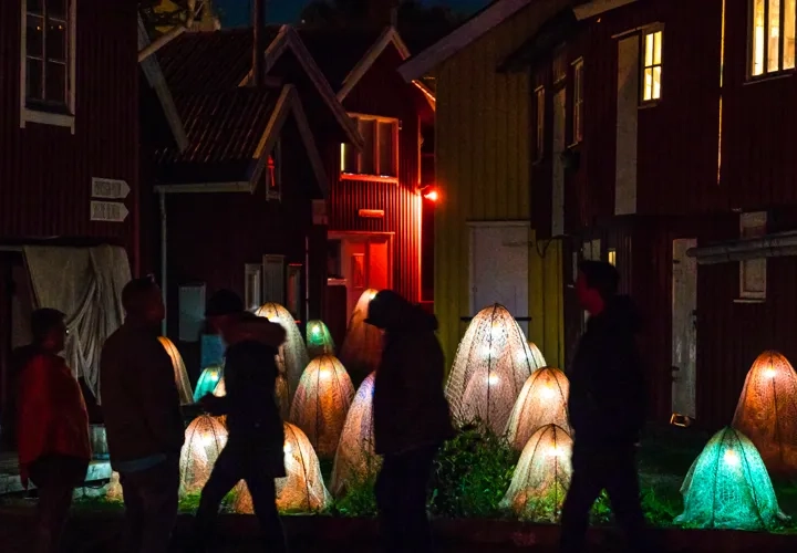 Guidade turer runt Island of Light