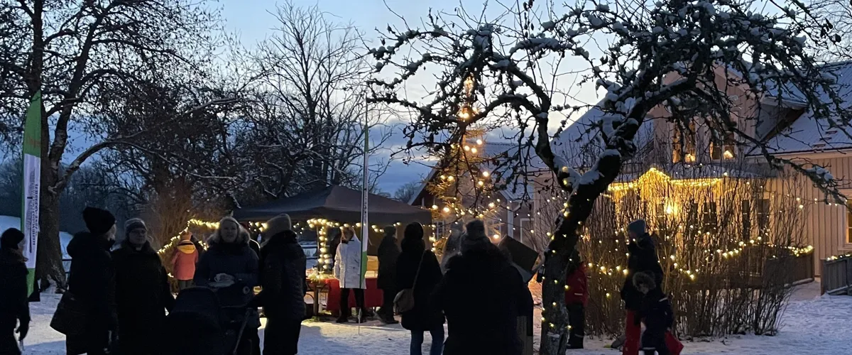Julmarknad i Varnhem