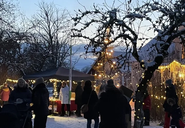 Julmarknad i Varnhem