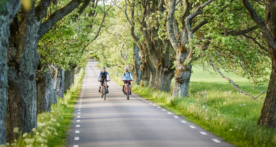 Vänner cyklar Vänerleden