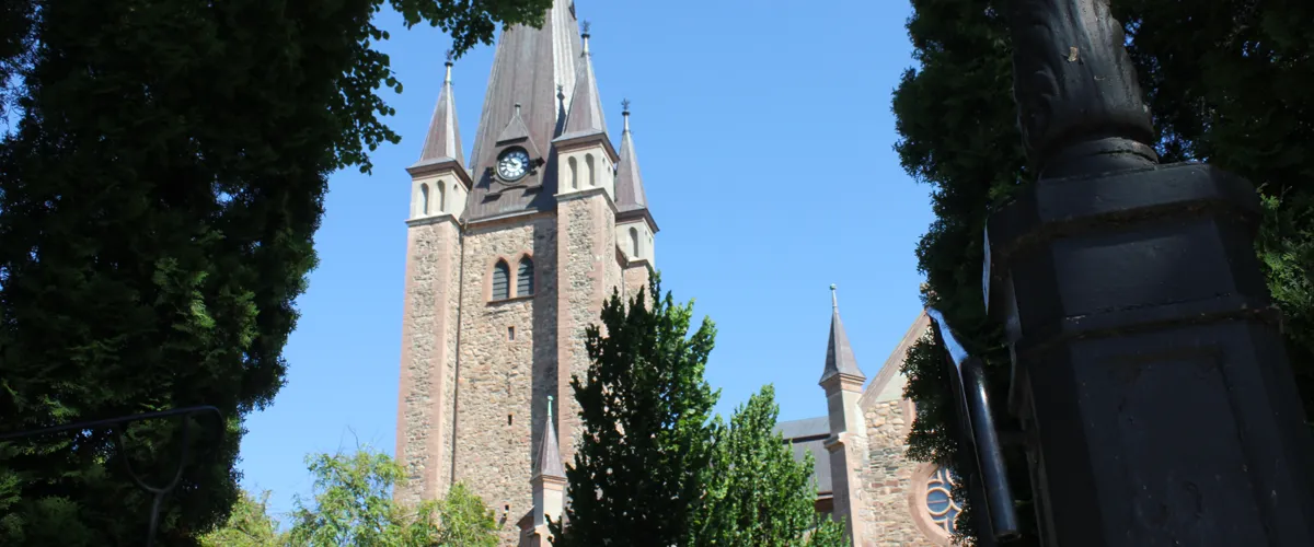 Guidad tur i domkyrkan