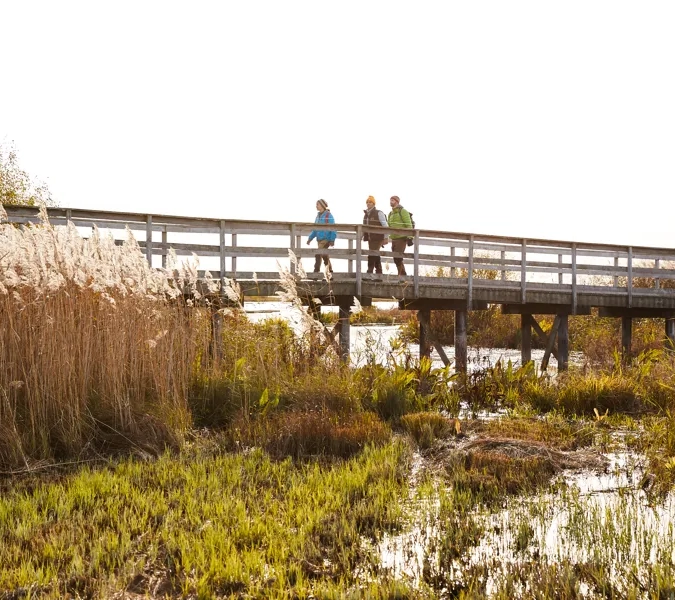 Vandring vid Hornborgasjön