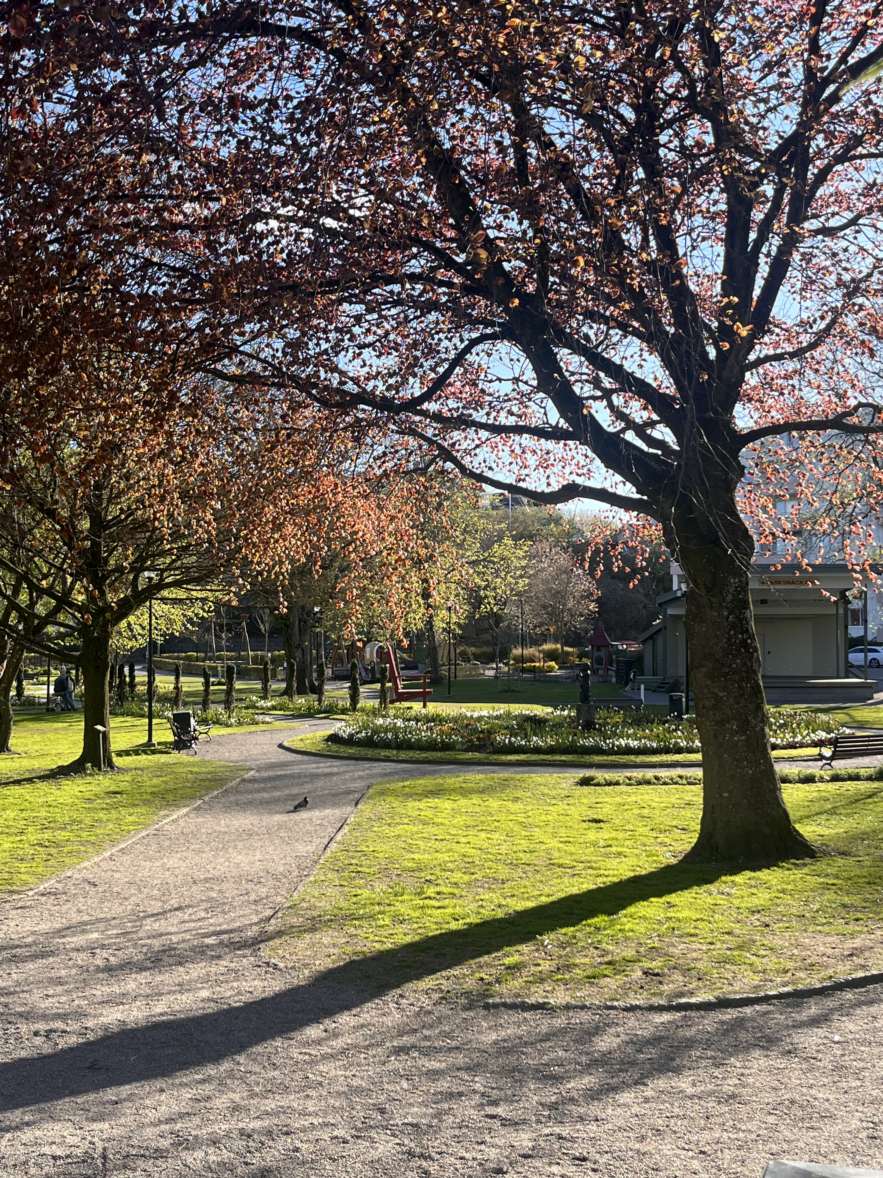 Lysekils stadspark