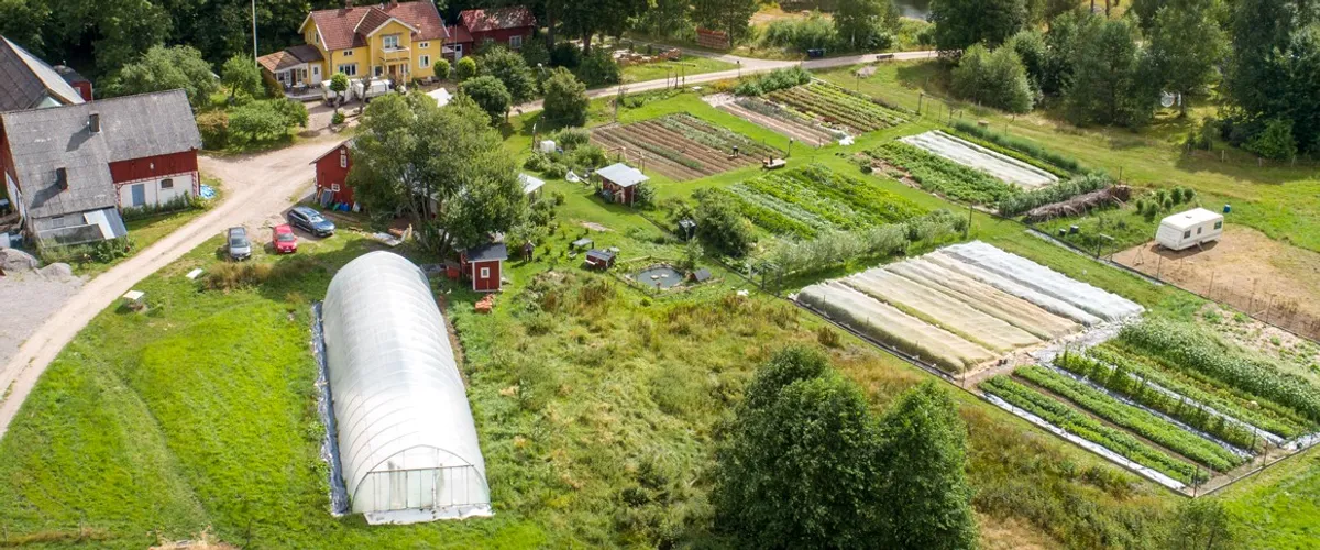 Östängs gård