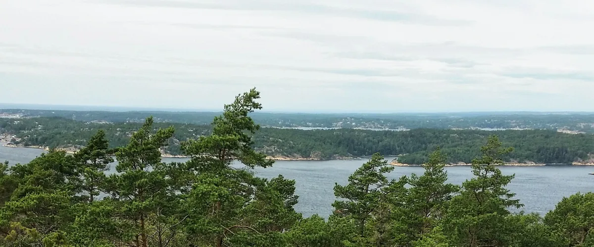 Genom urskog mot makalös utsikt augusti