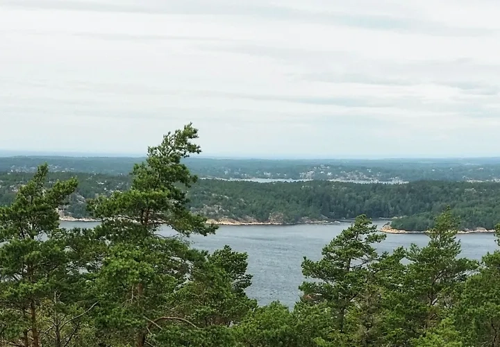 Genom urskog mot makalös utsikt