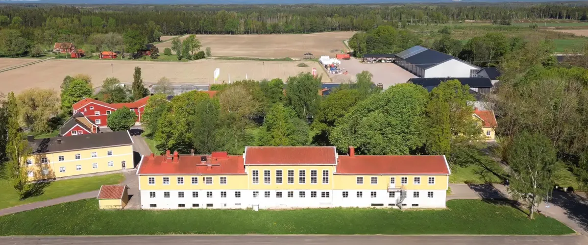 Sommarhälsning från Dal