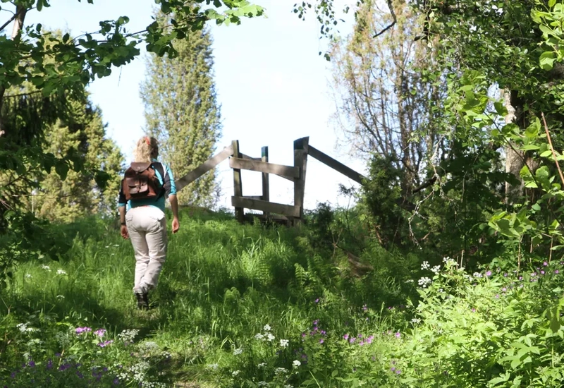 Vandring längs med Å-leden