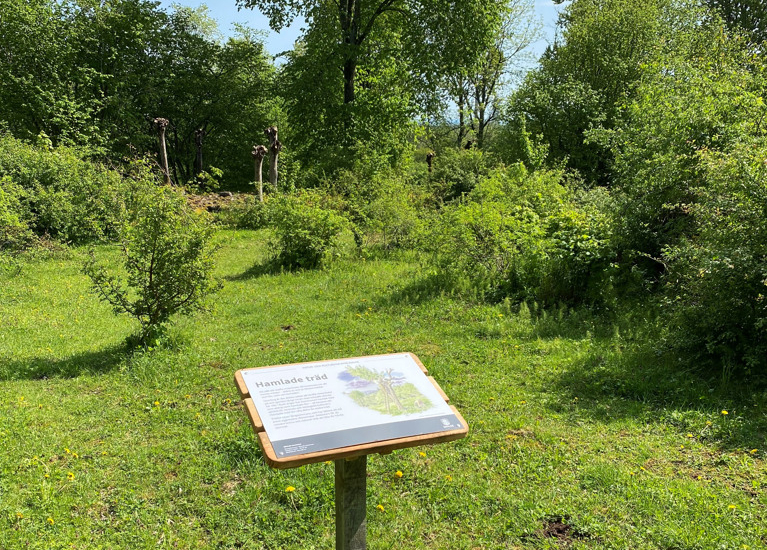 En skylt ståendes på en äng omgiven av lummig lövskog.