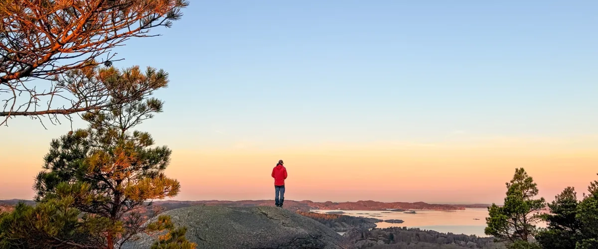 En person som står på toppen av en kulle bredvid ett träd.