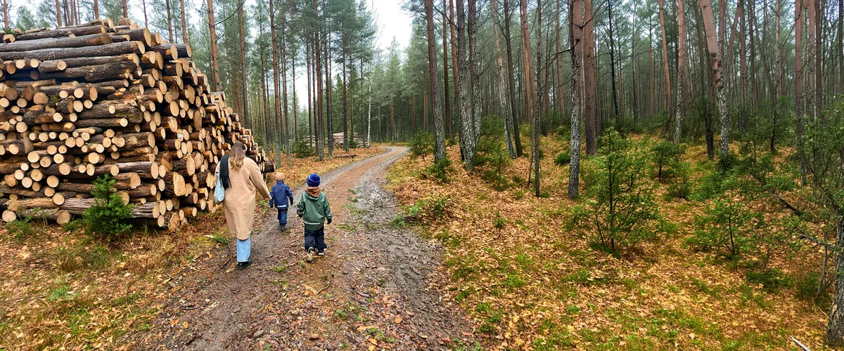 Gåsalunken i Fröjered