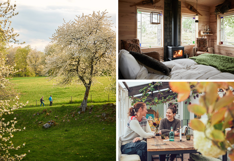 Vandringpaket kollage vår