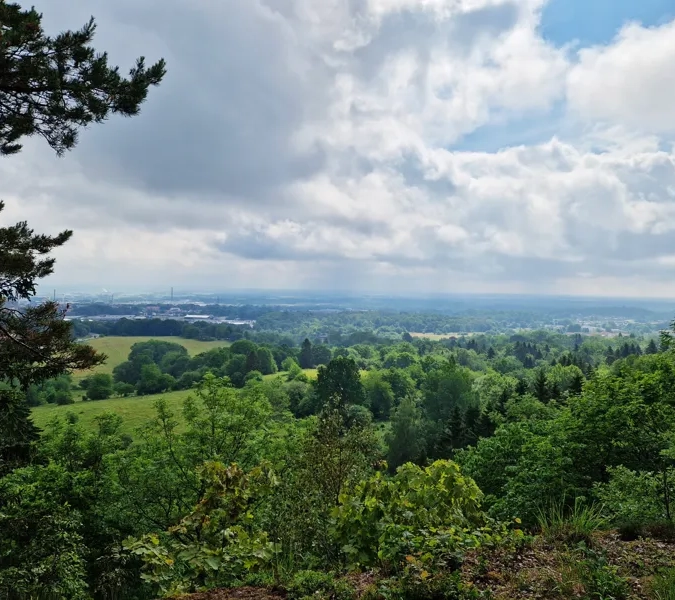 A scenic view of the countryside from the top of a hill.