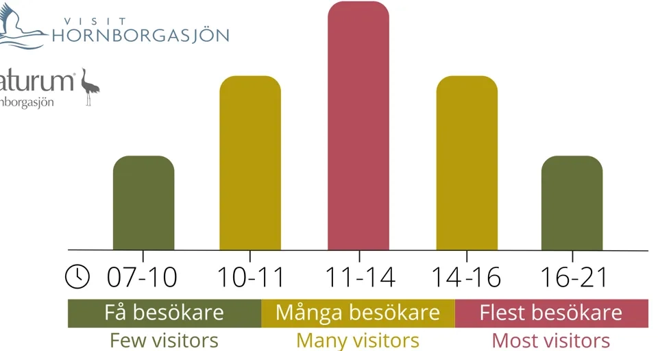 
a graph showing when there are more and fewer visitors to the trend dance
