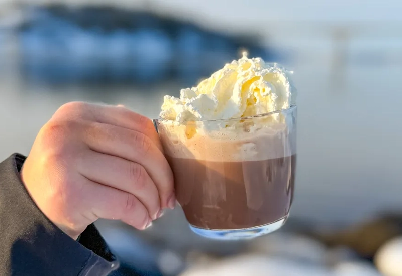 En person som håller i en kopp med en dessert i.