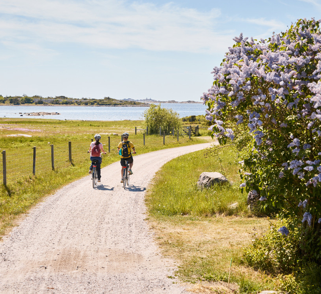 Några personer som cyklar på en grusväg på Sydkoster.