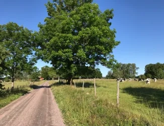 Enmilavandring - start på Kulturreservatet Vallby Sörgården