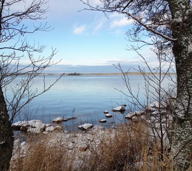 A body of water surrounded by trees and snow.