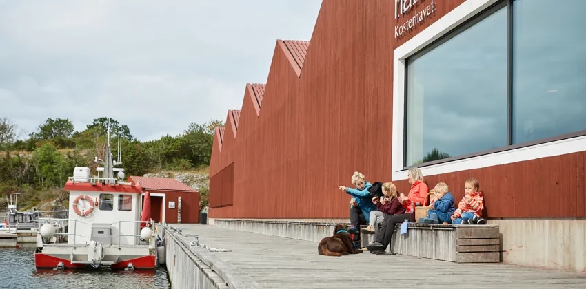 En grupp människor som sitter på en brygga intill rödmålad byggnad, naturum Kosterhavet. 
