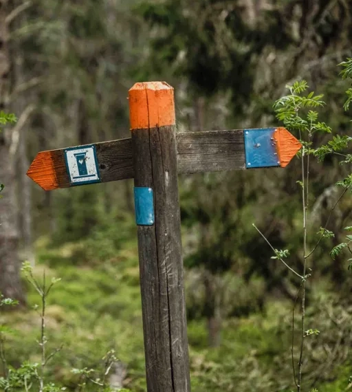 Ein Holzkreuz inmitten eines Waldes.