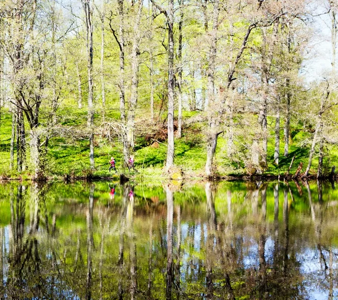 En liten sjö omgiven av träd och gräs.