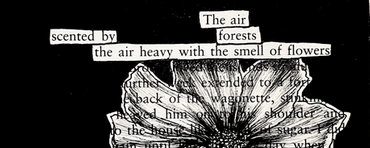 Black out poetry