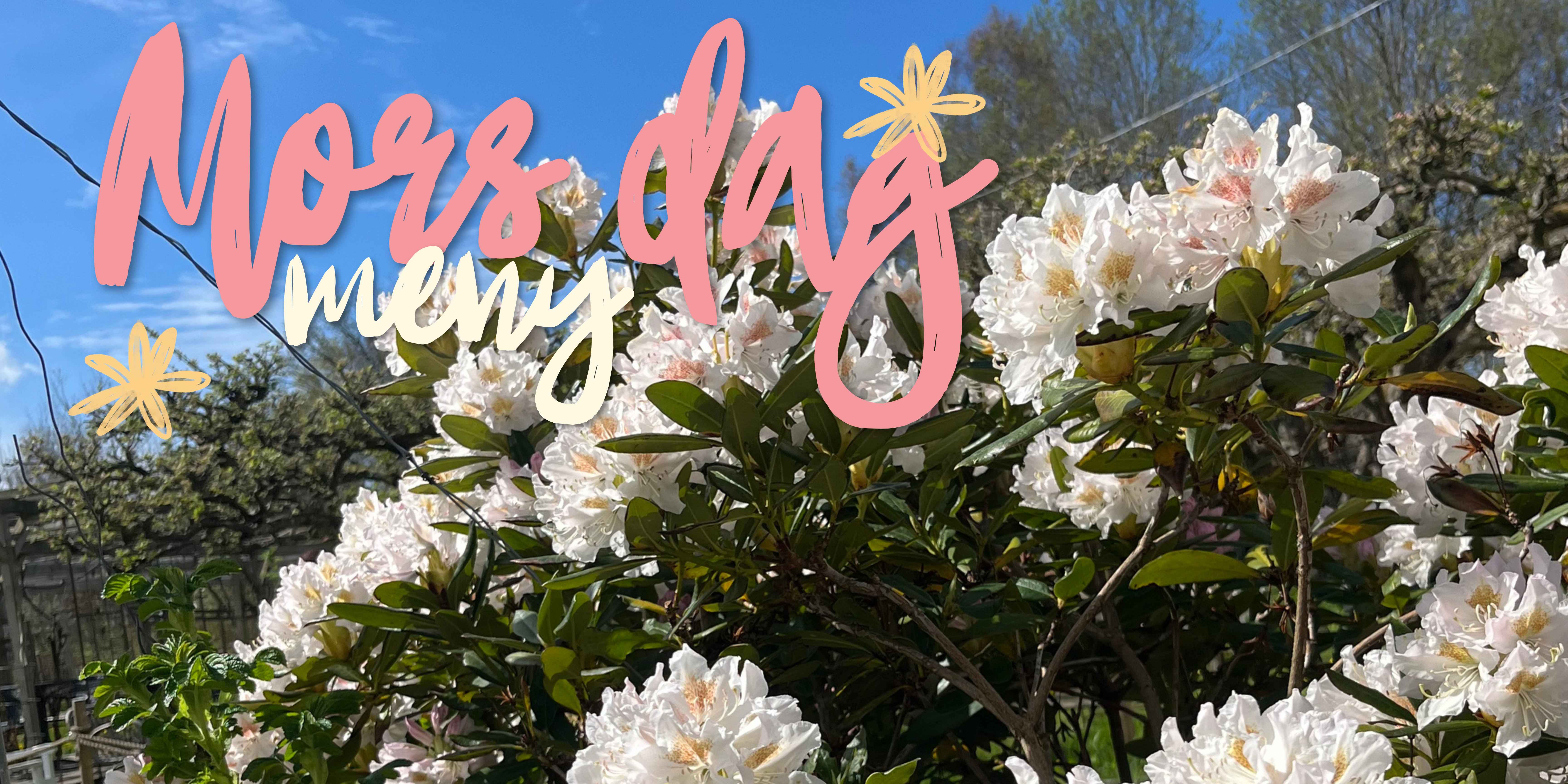 Mors Dag på Luna Vingård & Restaurang