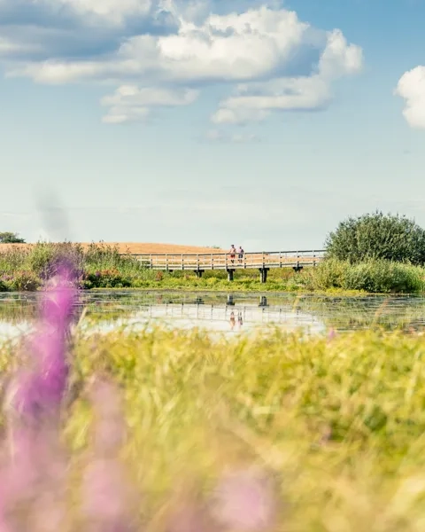 Vandrare i Västsverige