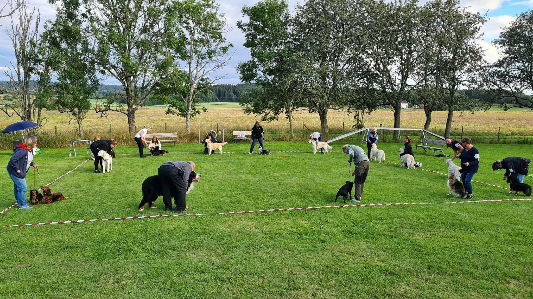 Örekilsparken - Ringträning Hund