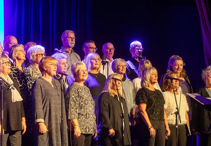 Sommarmusik - Kören BelCanto i Kinne-Kleva kyrka