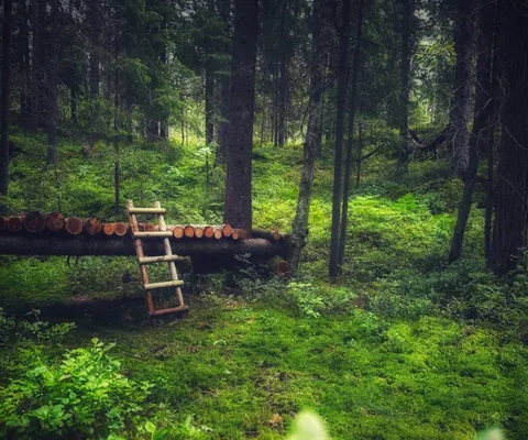 Skogsbad på Ragnerud Vandringsdestination.