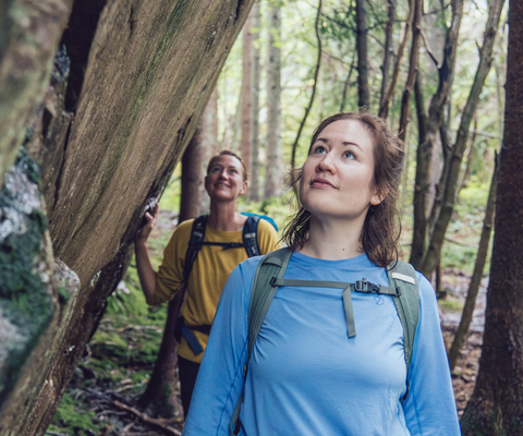 Kvinnor som vandrar i naturen.