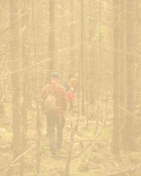 färgad bild på personer som vandrar i skogen