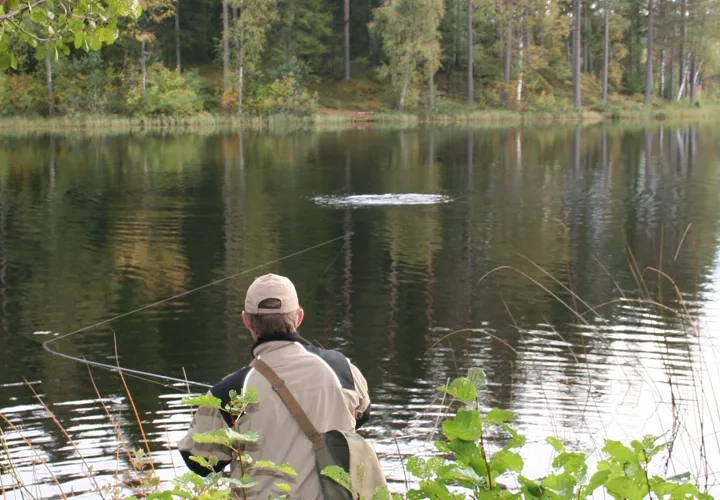 I förgrunden en person som fiskar med kastspö i en sjö.