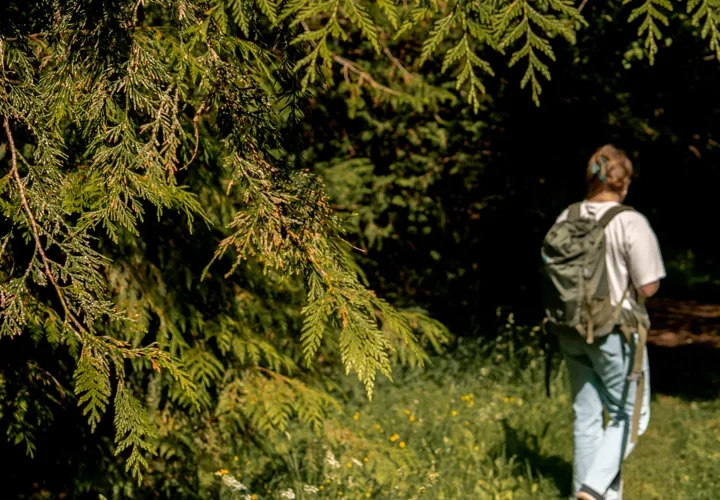 Naturhäng och guidning i Remningstorp arboretum
