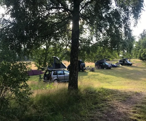 bilar med tält står på grönyta