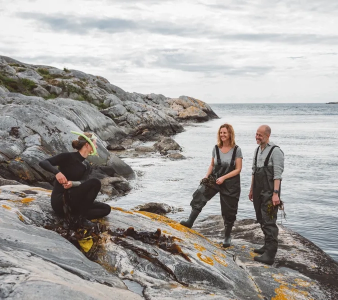 Grupp av människor lär sig om tång.