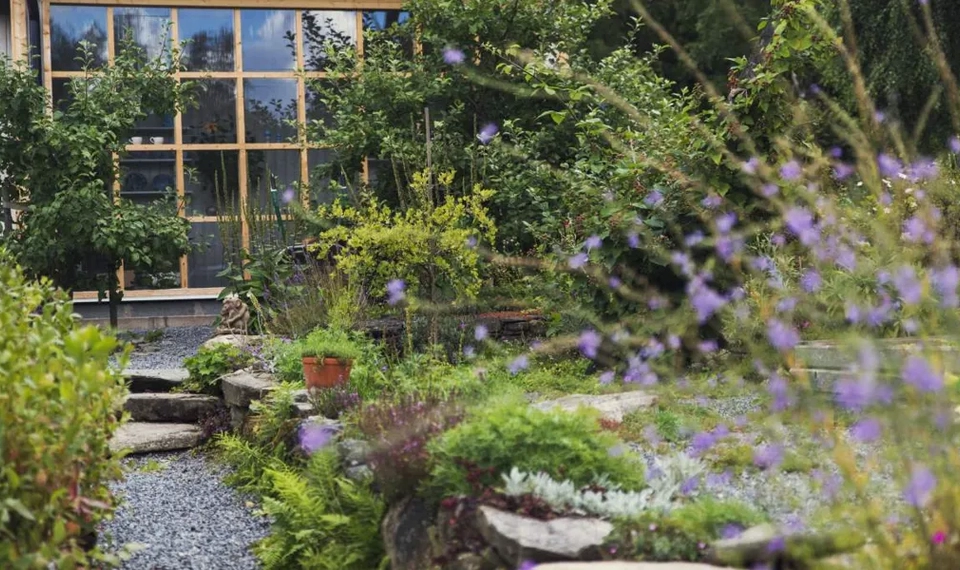 En bild på en blommande trädgård vid en grusgång. I bakgrunden skymtar man ett växthus.