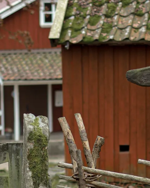 En bild på ett staket med en skylt där det står "Lockö kvarn". I bakgrunden ligger rödmålade hus.