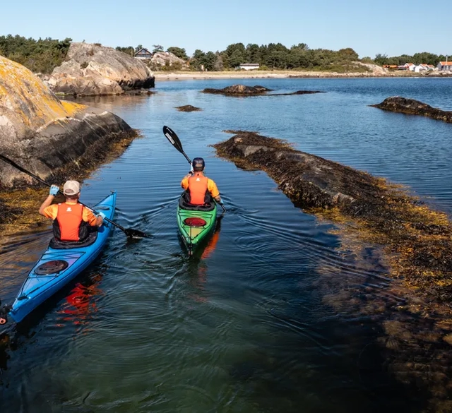Kajak tillsammans med Koster Adventure