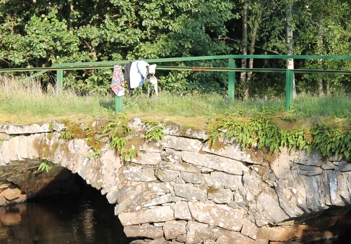 Nårungaleden