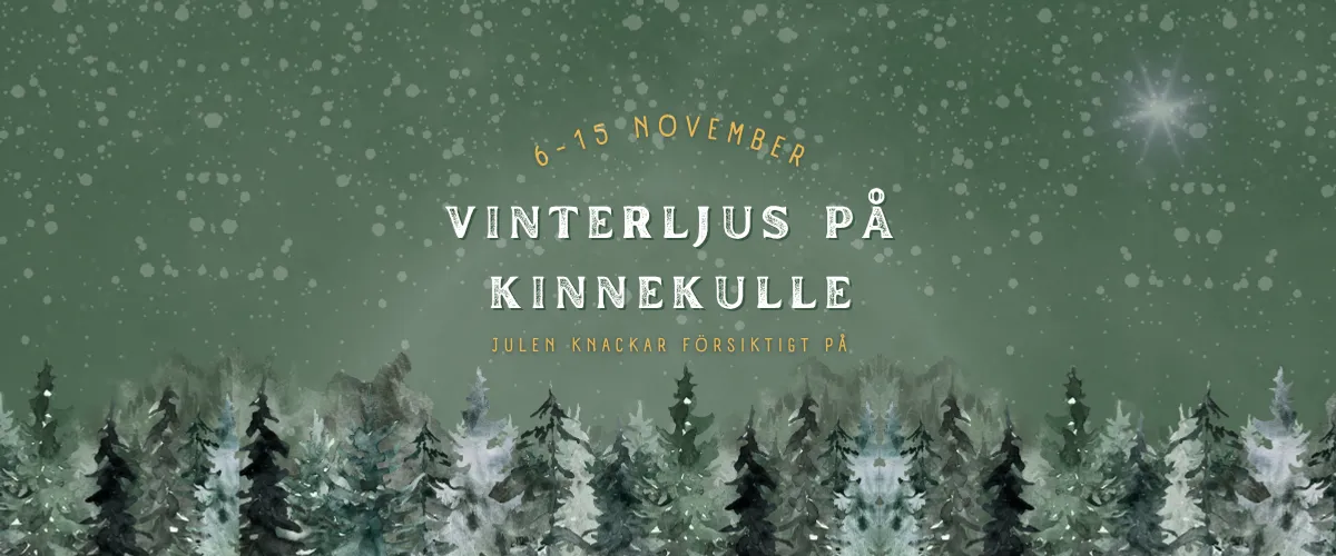 Vinterljus på Kinnekulle