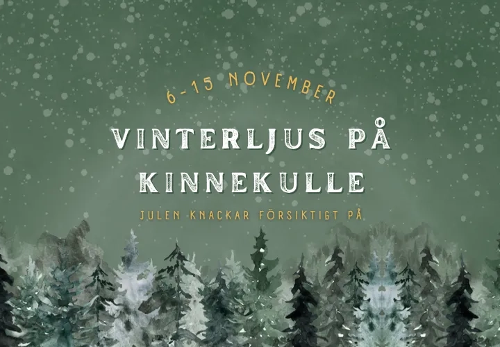 Vinterljus på Kinnekulle