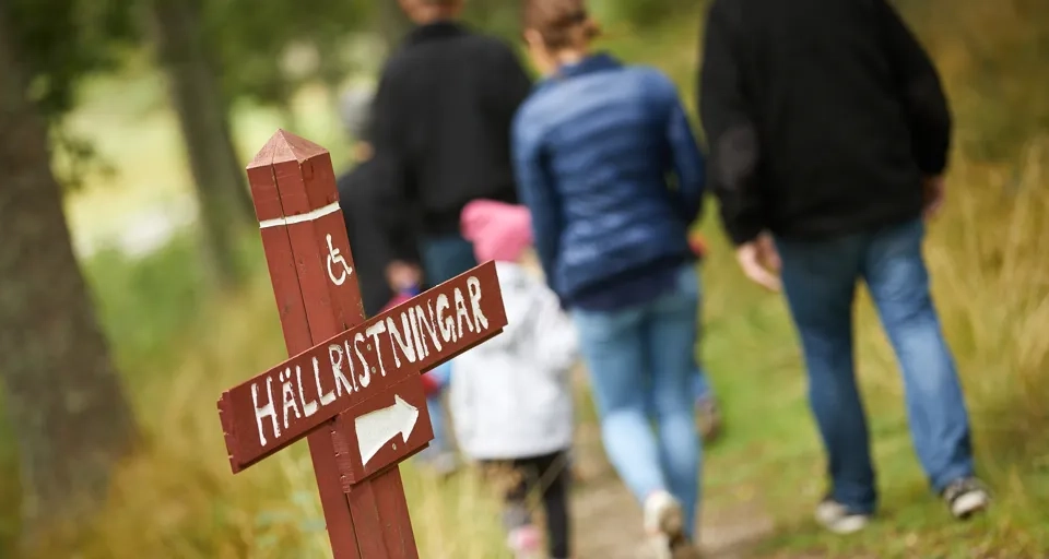 En grupp människor som går längs en stig intill en skog.