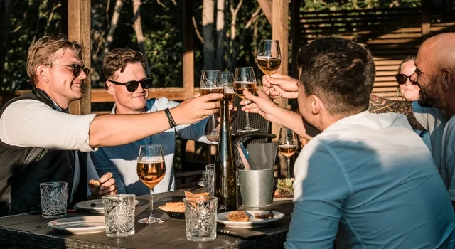 Grupp av människor skålar utomhus.