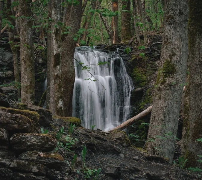 Ett vattenfall i grönskande natur