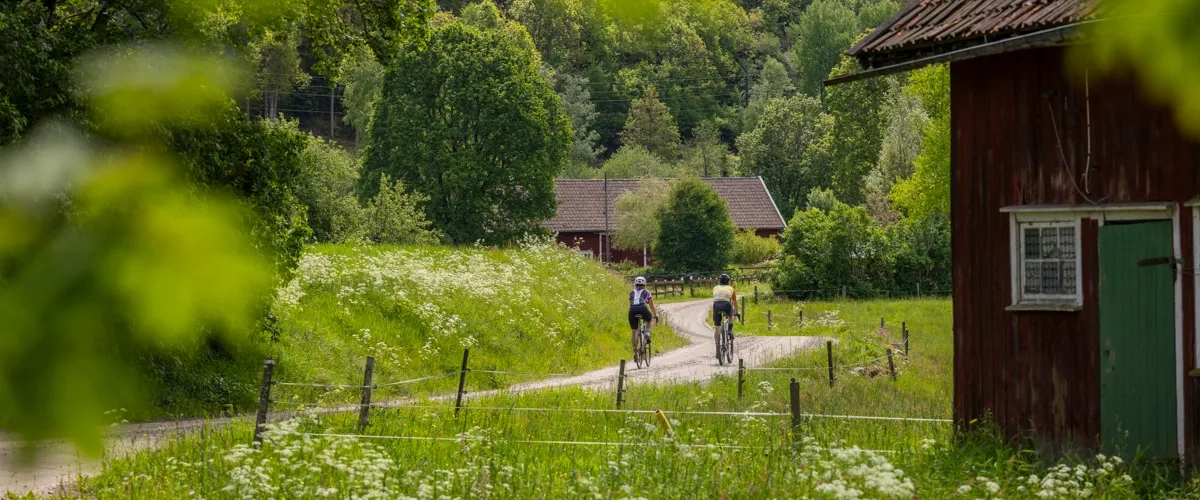 Cykling på natursköna Ljungleden.