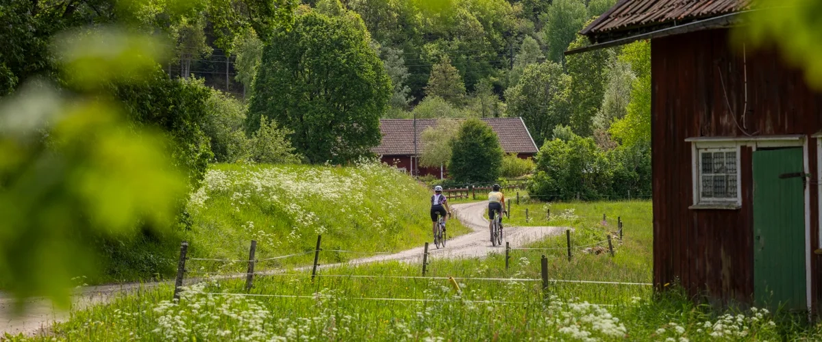 Cykling på natursköna Ljungleden.