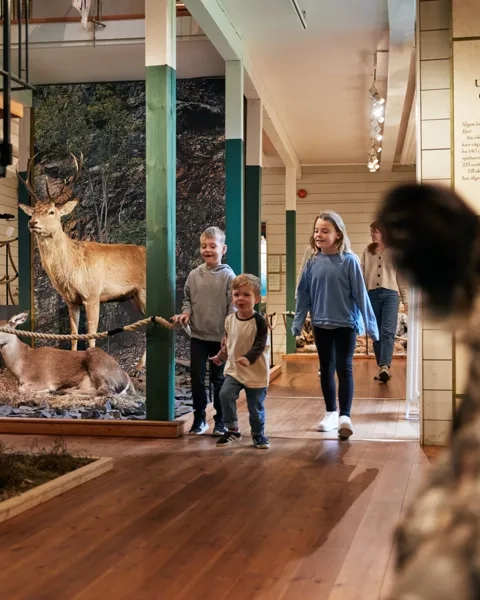 Barn på Kungajaktmuseet Älgens Berg